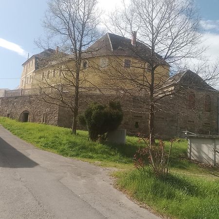 Ferienwohnung Im Rittergut Plohn 300 Meter Zum Freizeitpark Lengenfeld  Eksteriør billede